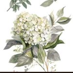 Decor transfer 20x30 Hortensias 3 hojas