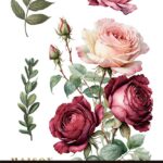 Decor transfer 20x30 Rosas 3 hojas