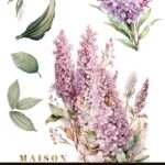 Decor transfer 20x30 Lilas 3 hojas