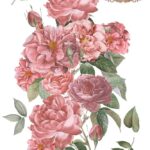Decor transfer 60x90 Rosas
