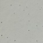 Papel Artesanal con Semillas de hierbas th982