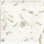 Papel Artesanal Hojas de Tamarindo Verde TH866