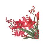 Hoja Servilleta Flores Rojas