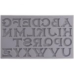 Molde Silicona 17,6x10,3 Cm