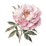 TRANSFER DTF TEXTIL 25x30cm. Precious Flowers 2