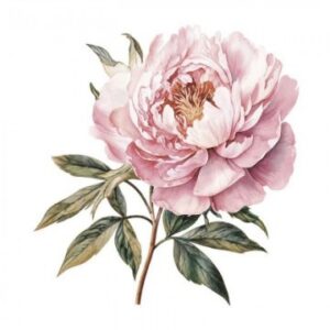 TRANSFER DTF TEXTIL 25x30cm. Precious Flowers 2